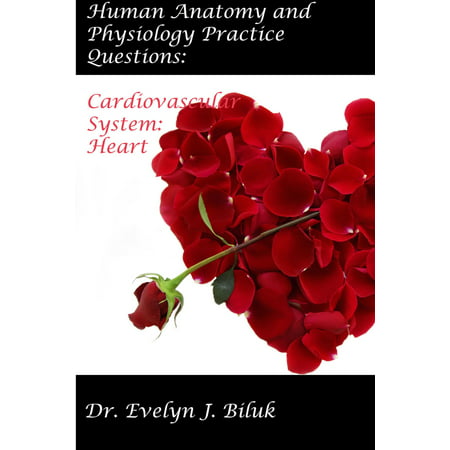 human anatomy and physiology by tortora ebook