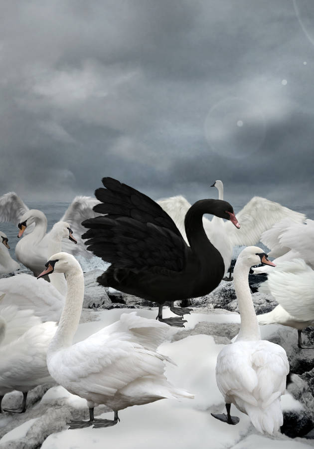 black swan nassim taleb epub