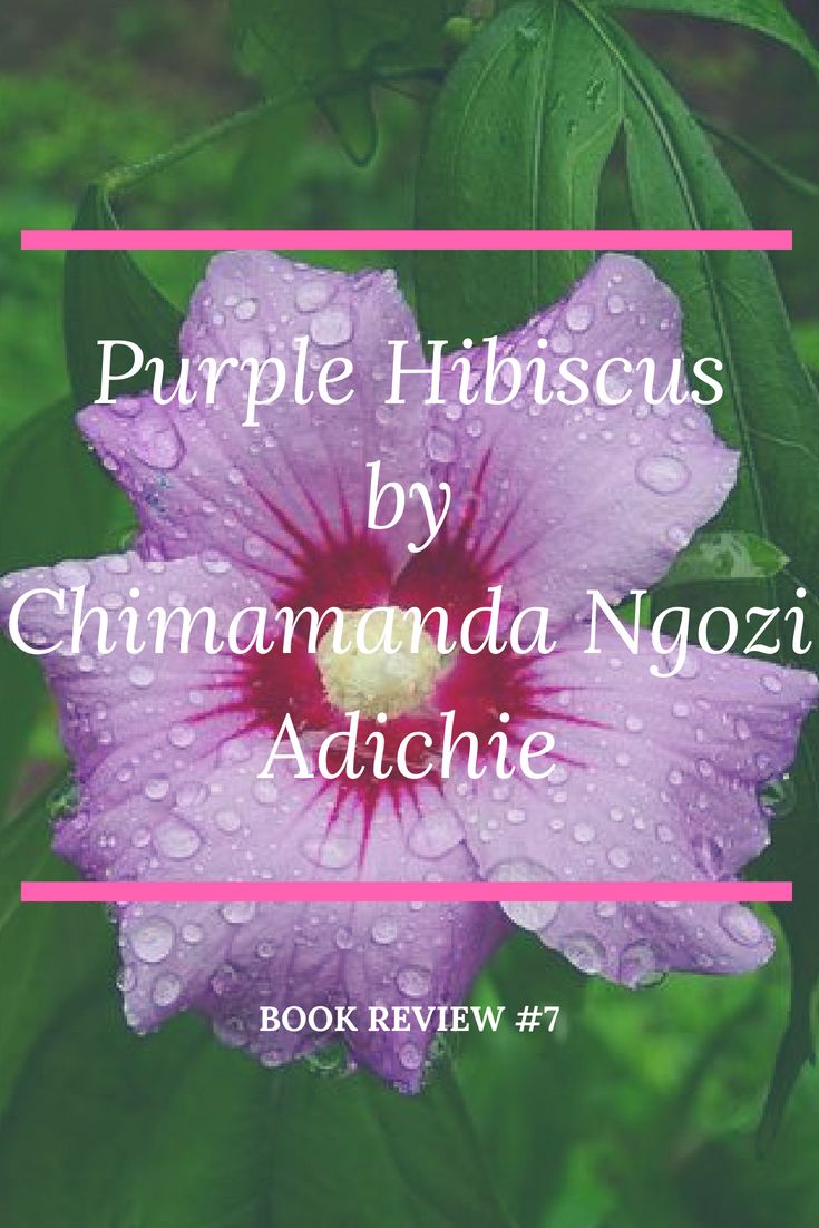 chimamanda ngozi adichie purple hibiscus epub