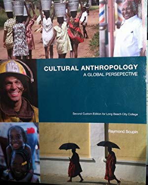 cultural anthropology a toolkit for a global age ebook