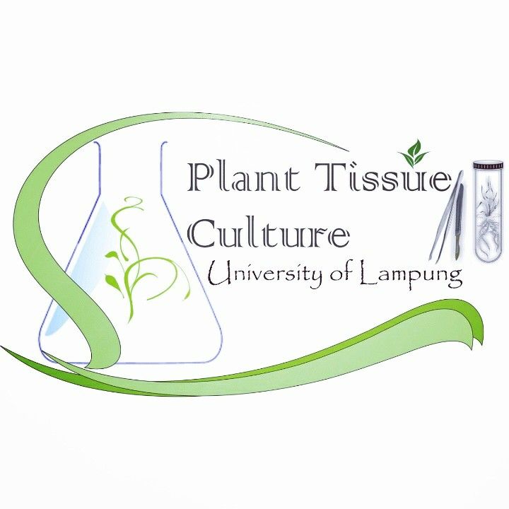 free download ebooks introduction to plant tissue culture by razdan