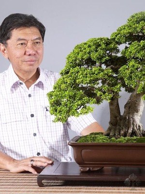 the complete book of bonsai ebook